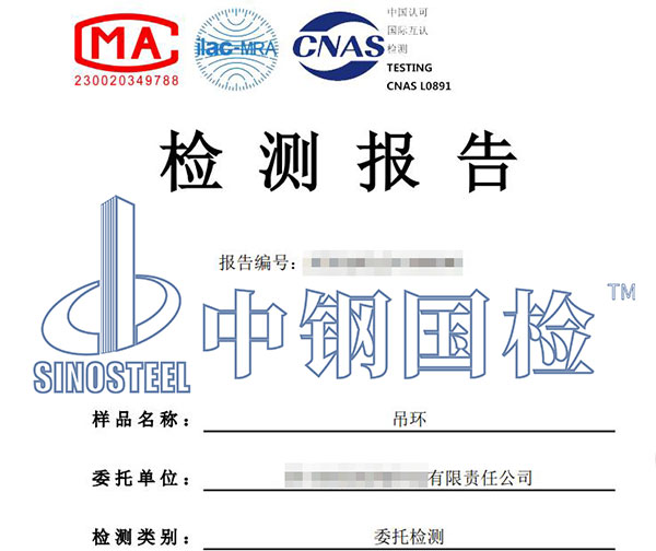 吊環(huán)檢測報告
